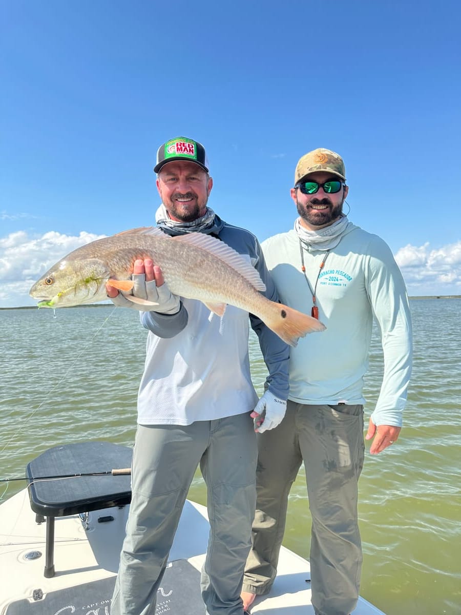 Energy On The Fly event